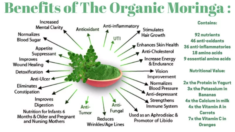 Moringa benefits