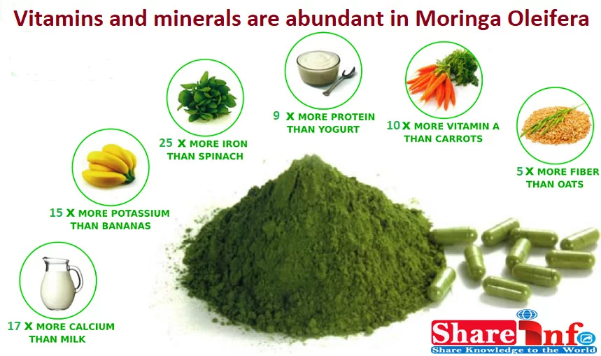 vitamins and minerals in moringa